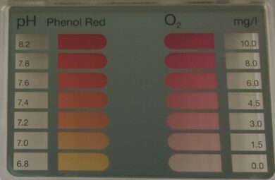 Tester na bezchlorovou chemii (O2)  (11314001)