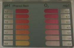 Tester na bezchlorovou chemii (O2)
